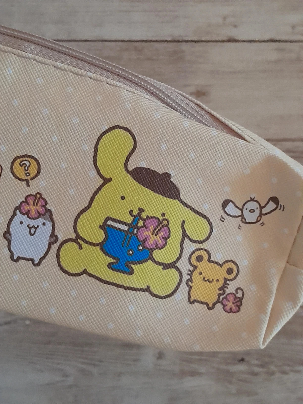School- of make-uptas, Sanrio, Pompompurin – photo 3